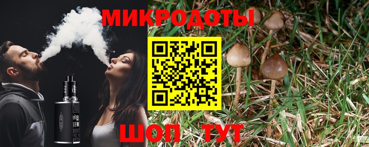 Псилоцибиновые грибы Magic Shrooms  Вход с VPN  Свободный  Псилоцибиновые грибы MAGIC MUSHROOMS 
